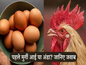 chicken_or_egg_who_came_first_in_world_hen_murgi_aayi_ya_anda_scientist_answer_1680181946