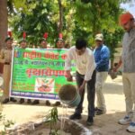 विश्व पर्यावरण दिवस पर महाविद्यालय ने पौध रोपण एवं इग्नू ने वेबीनार कराया